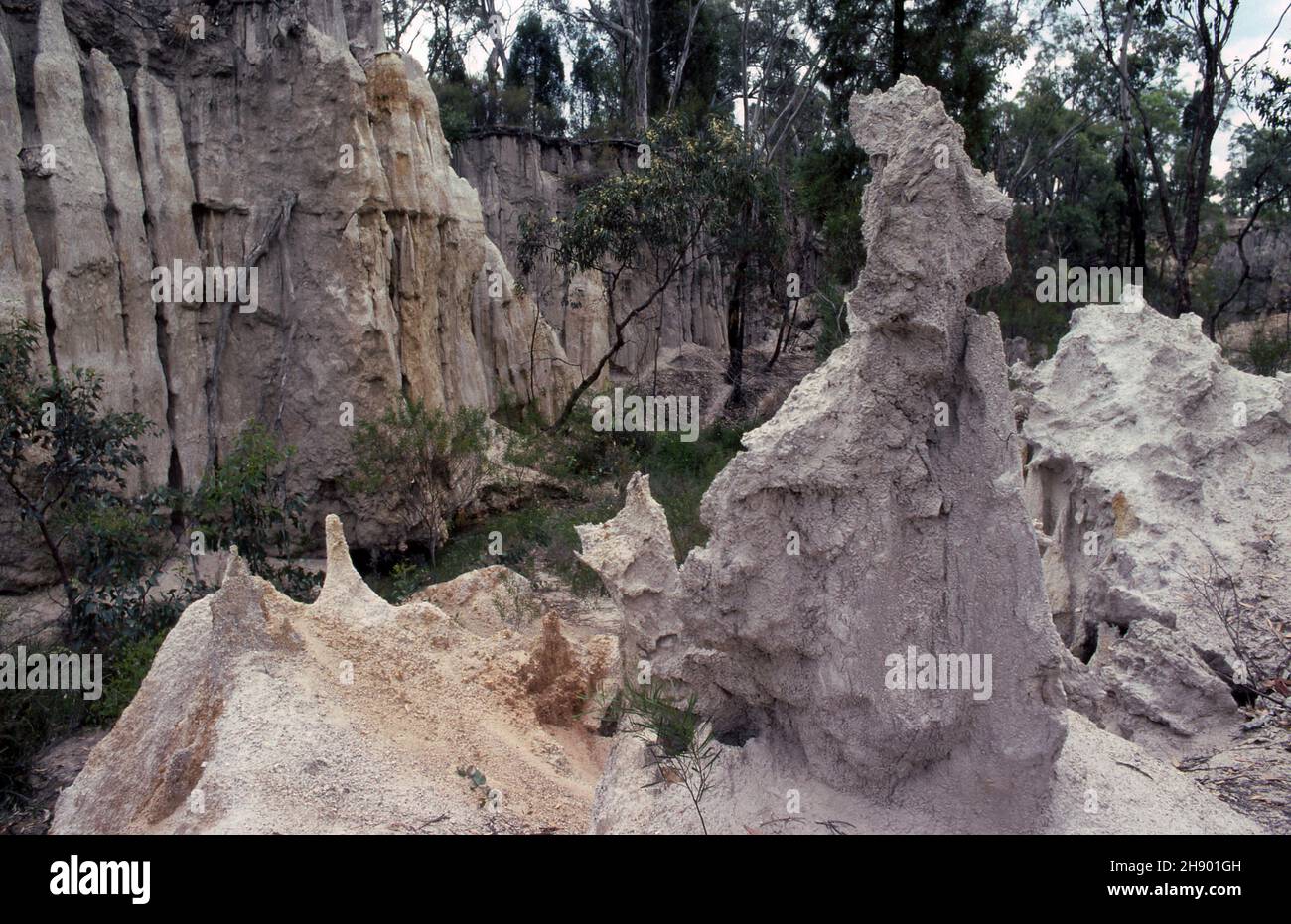 EIN KLASSISCHES BEISPIEL FÜR DIE EROSION VON RINNEN INFOLGE DER WECHSELWIRKUNG VON LANDNUTZUNG, KLIMA UND HANGLAGE. GULLY LIEGT ÖSTLICH VON GULGONG IN NEW SOUTH WALES. AUSTRALIEN. Stockfoto