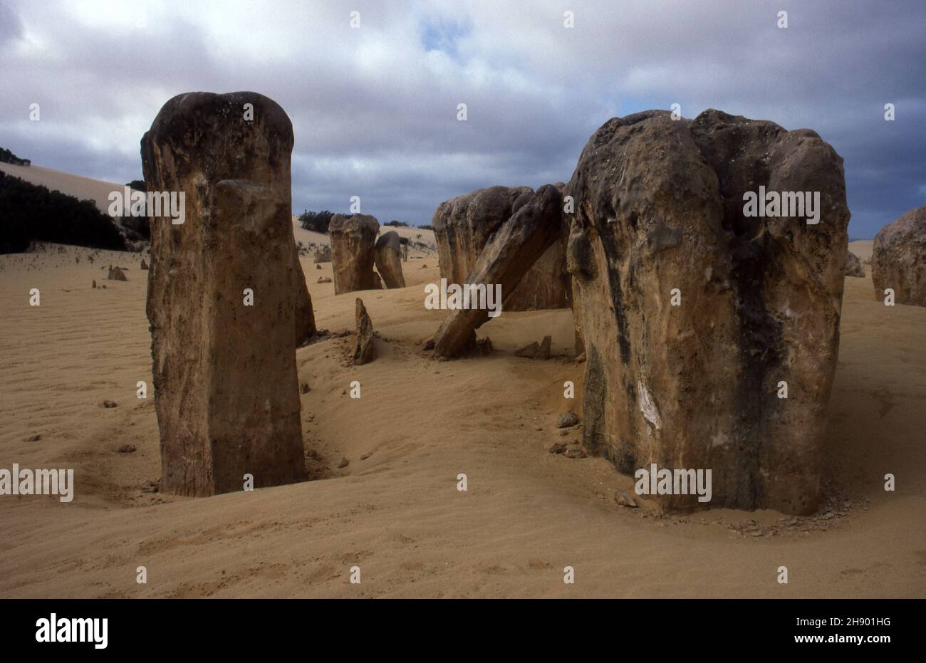 IM NAMBUNG NATIONAL PARK IM WESTERN AUSTRALIA BEFINDEN SICH DIE ZINNEN, DIE EIN GEBIET MIT TAUSENDEN VON KALKSTEINSÄULEN WÜSTEN. Stockfoto