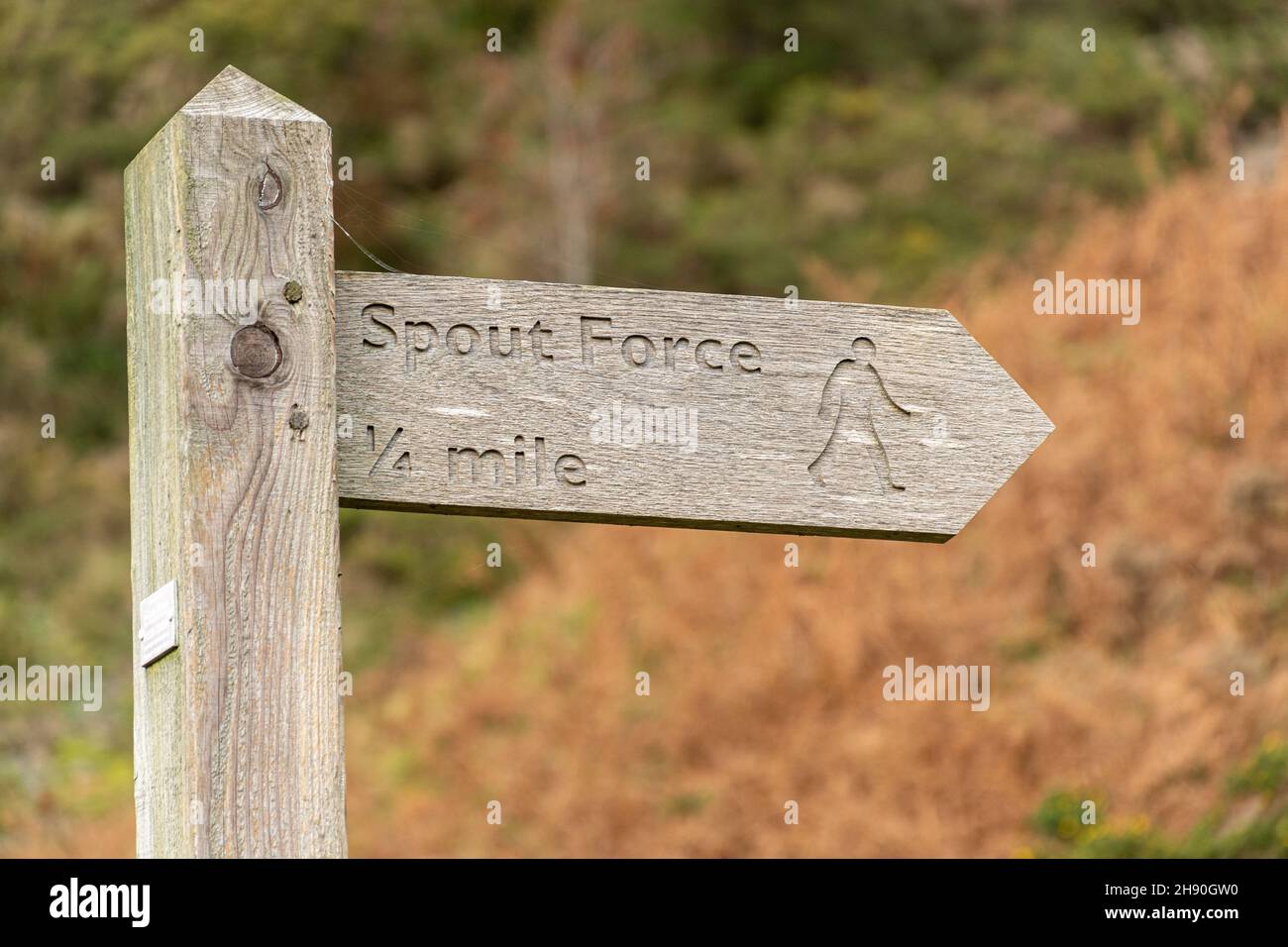 Wegweiser, der auf die Spout Force im Whinlatter Pass im Lake District, Cumbria, England, Großbritannien, zeigt Stockfoto