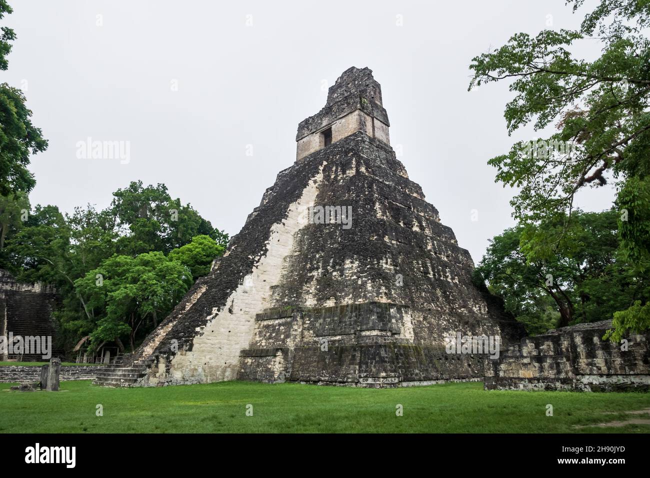 „Tempel des großen jaguar“ oder „Tempel von Ah Cacao“ in den Maya-Ruinen von Tikal, Peten, Guatemala Stockfoto