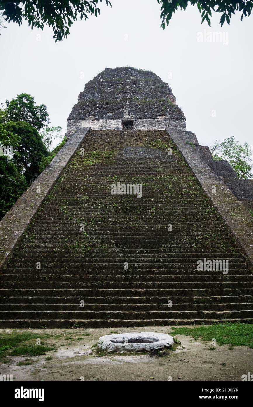 Vorderansicht der Pyramide des Tempels V an der archäologischen Stätte der Maya in Tikal, Peten, Guatremala Stockfoto