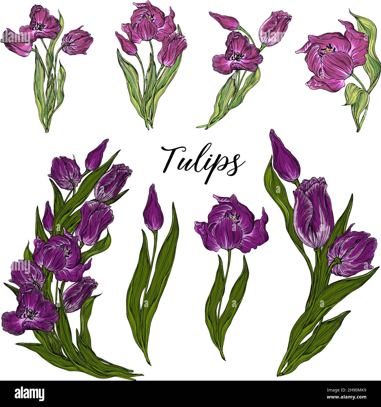 Vektor-Set von Tulpenblüten Stock Vektor