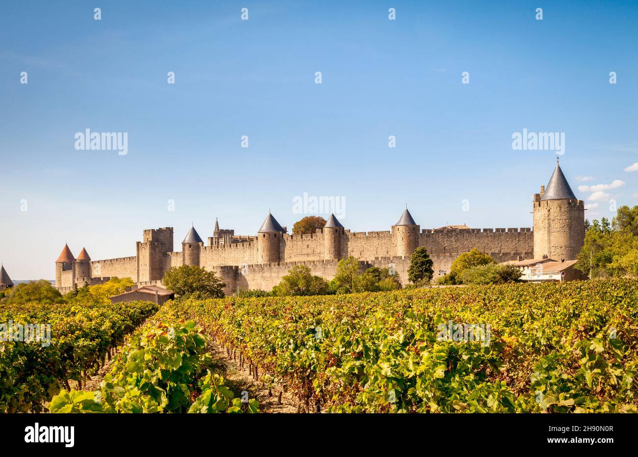 Die befestigte Stadt Carcassonne, gesehen über Weinberge am späten Nachmittag im Herbst. Stockfoto