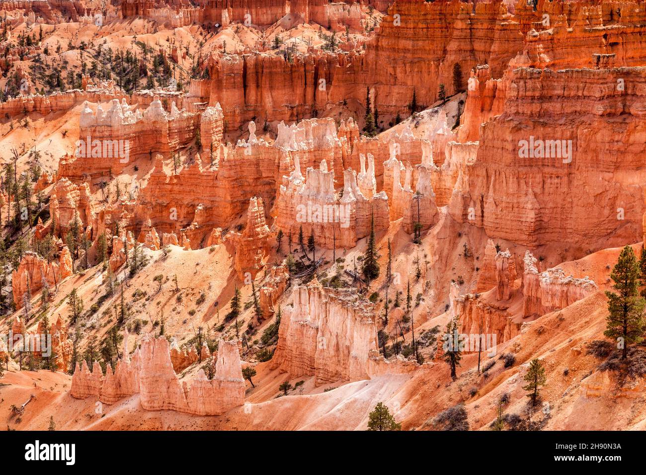 Einige der Tausende von Hoodoos, die Bryce Canyon wie einen inspirierenden Ort zu besuchen. Stockfoto