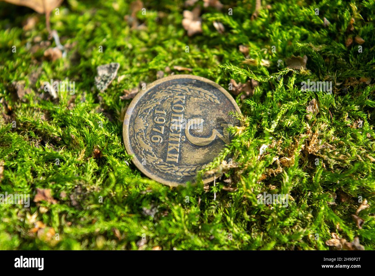 Alte Münzen im Wald auf grünem Moos Stockfoto