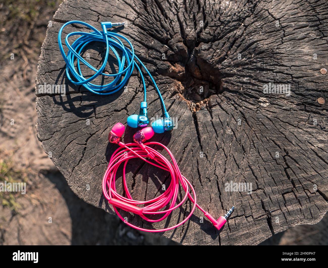 Zwei bunte in-Ear-Ohrhörer mit rosafarbenem und blauem Kabel, die auf einem Holzstub im Park liegen. Chillen und Musik im Freien hören. Stockfoto