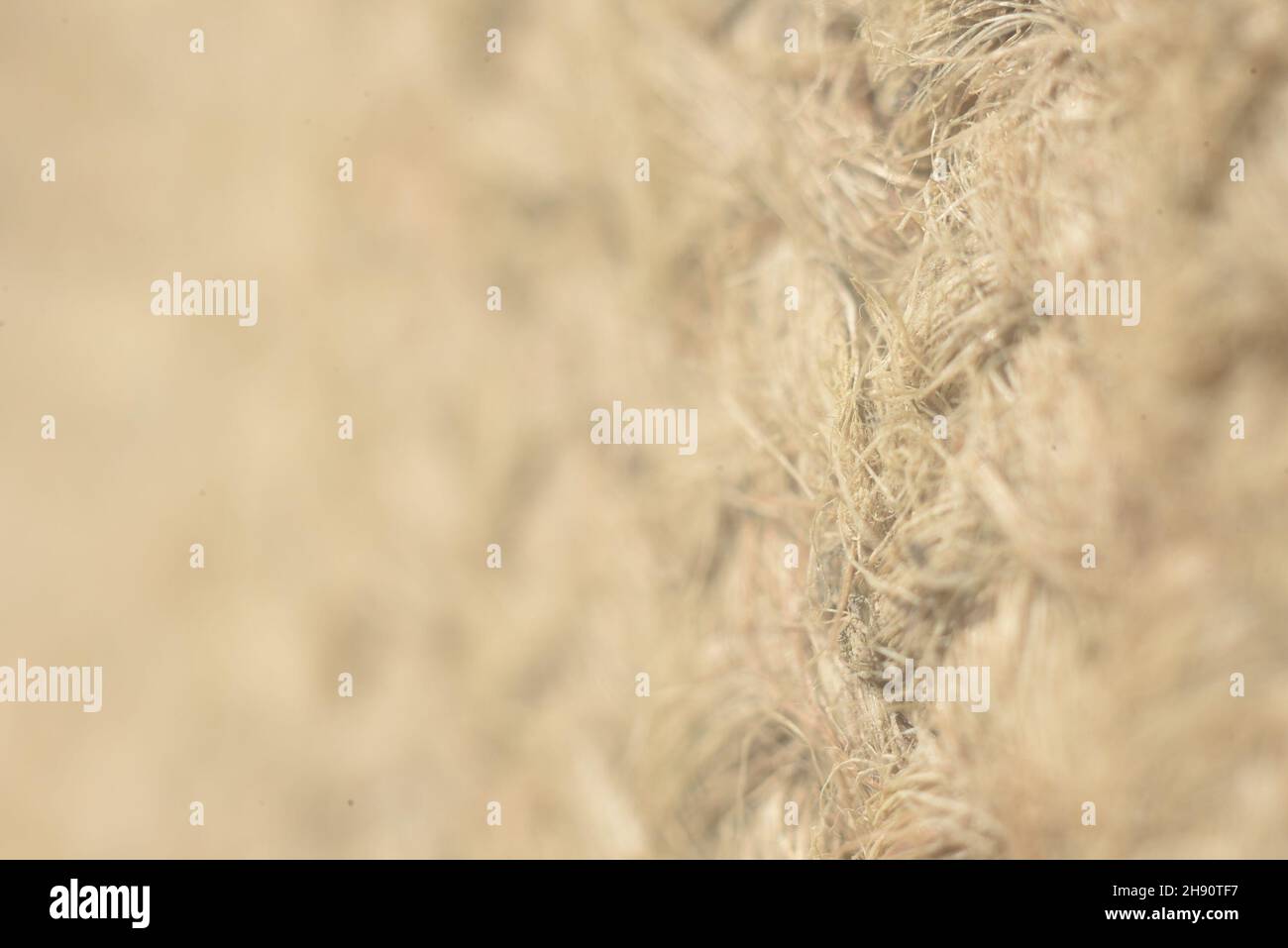 Graue Wollstruktur mit selektiver Makroaufnahme Stockfoto