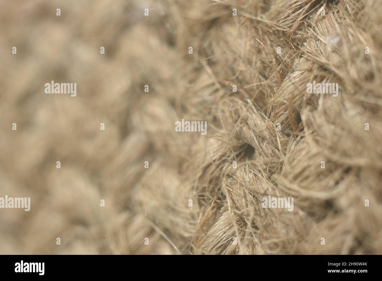 Graue Wollstruktur mit selektiver Makroaufnahme Stockfoto