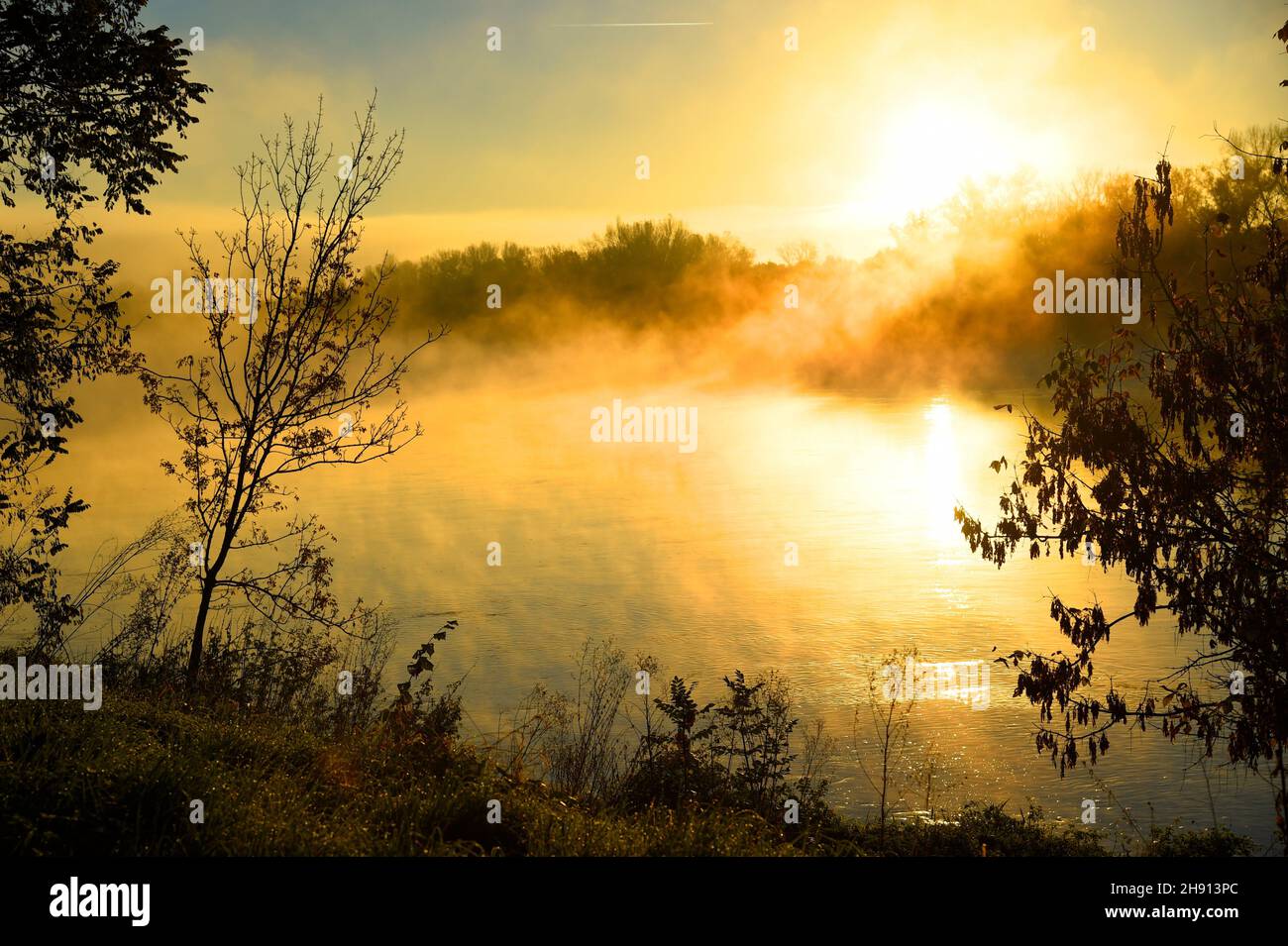 Am frühen Morgen, Licht auf der Loire, Frankreich. Stockfoto