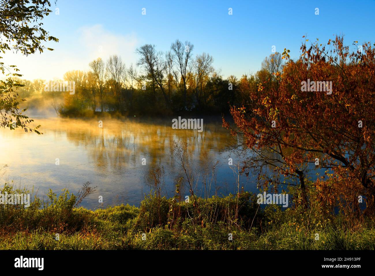 Am frühen Morgen, Licht auf der Loire, Frankreich. Stockfoto
