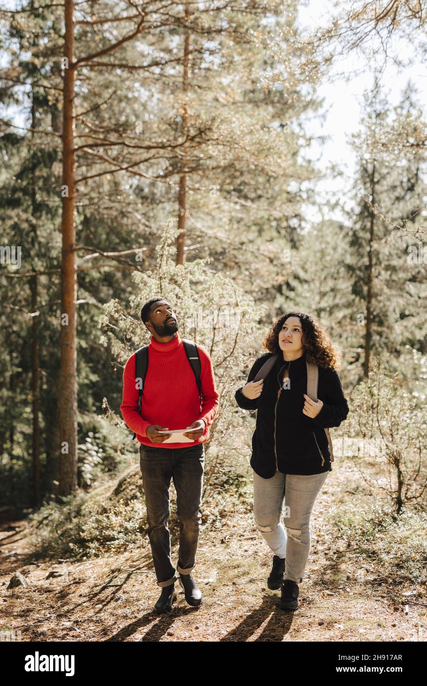 Die gesamte Länge des multirassischen Paares, das an einem sonnigen Tag im Wald spazierengeht Stockfoto