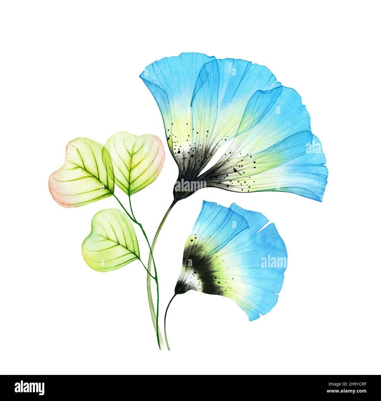 Aquarell florales Bouquet. Große blaue transparente Blüten und Blätter. Handbemaltes abstraktes isoliertes Design. Botanische Illustration für die Frühjahrshochzeit Stockfoto