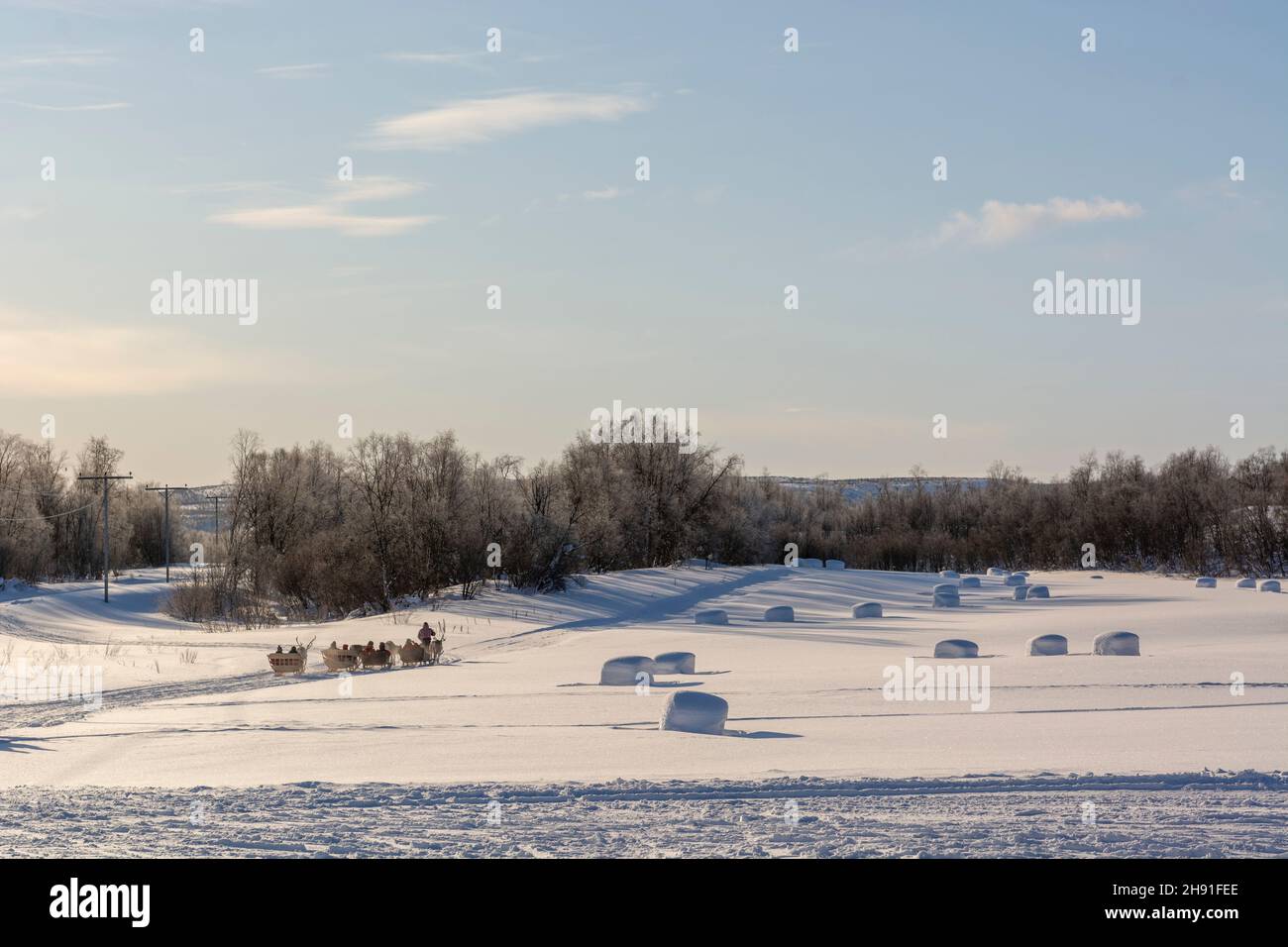 Touristen auf einer Rentierschlittenfahrt durch die verschneite Landschaft an einem sonnigen Wintertag Stockfoto