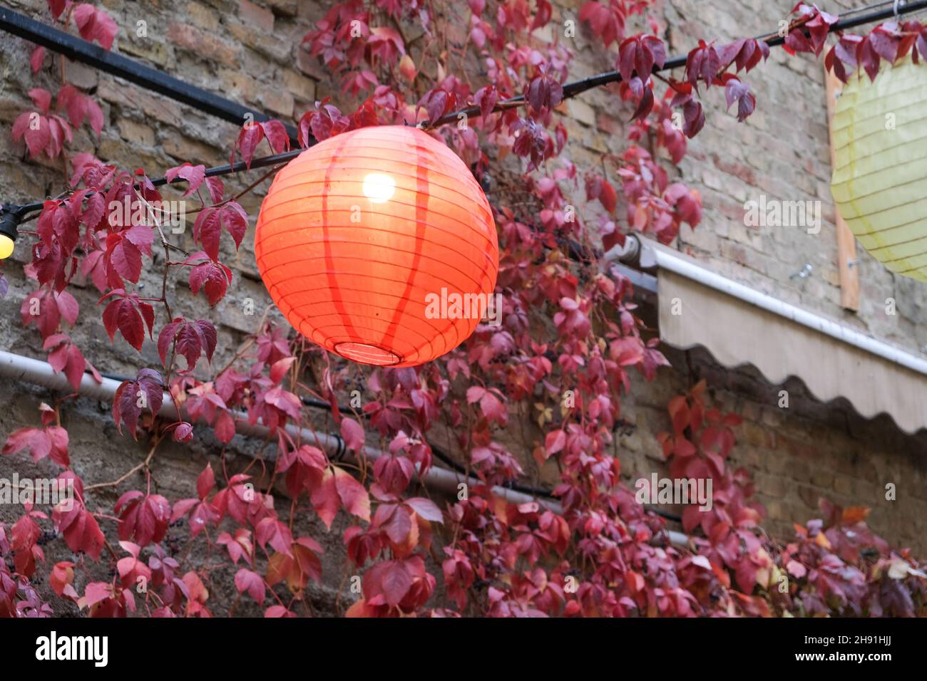 Rote chinesische Papierlaternen im Freien. Traditionelles Design, hinterlässt Hintergrund. Stockfoto