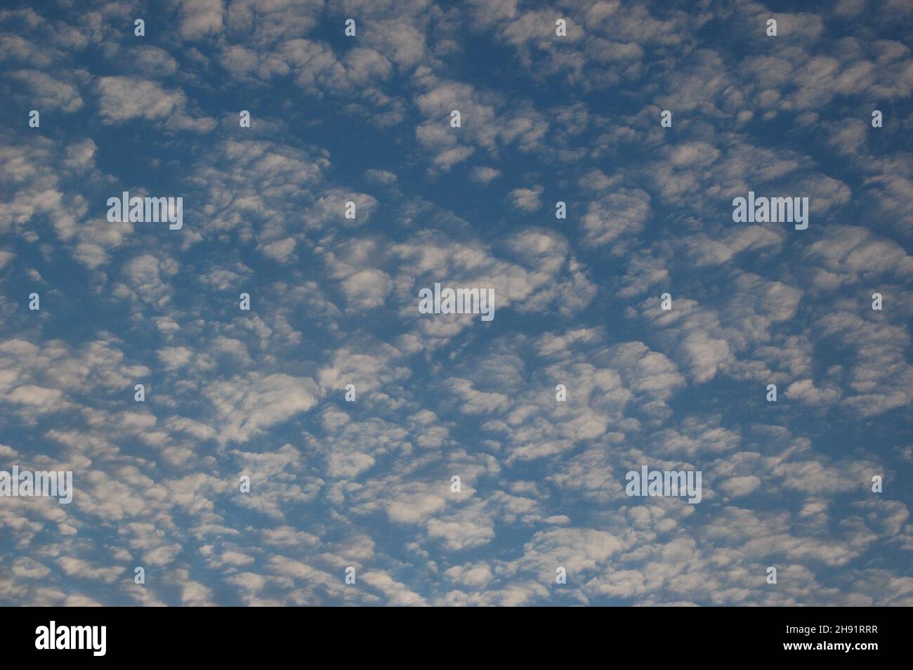 Flauschige weiße Wolken, vor einem hellblauen Hintergrund, mit Anzeichen von Sonnenlicht nach unten Stockfoto