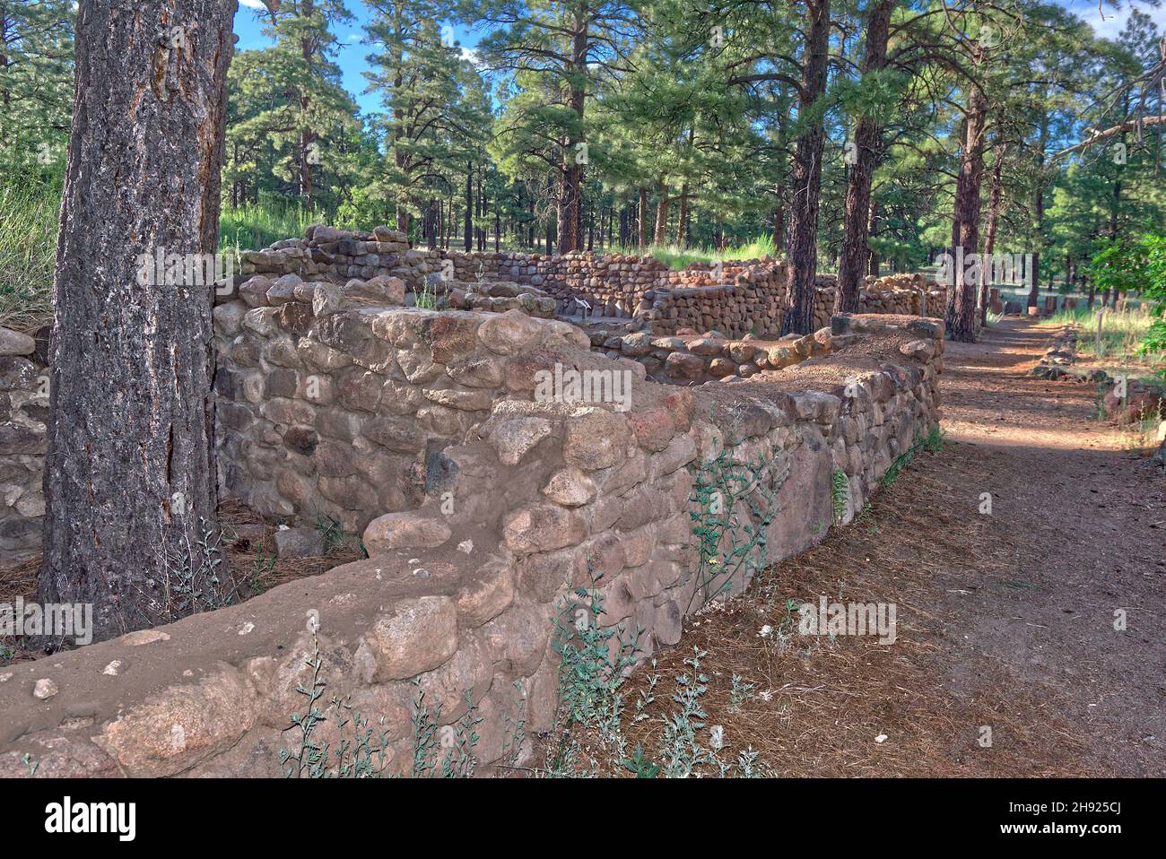 Elden Pueblo in Flagstaff AZ ist der Ort eines alten Sinagua-Dorfes, das von etwa 1070 bis 1275 n. Chr. bewohnt wurde. Die Website ist für das öffentliche Jahr ro geöffnet Stockfoto