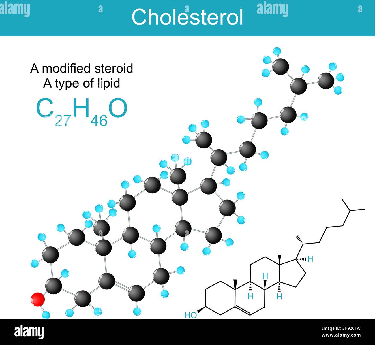 Cholesterin molekularchemische Strukturformel und Modell eines Sterols (oder modifiziertes Steroid). Typ des Lipids. Vektorgrafik Stock Vektor