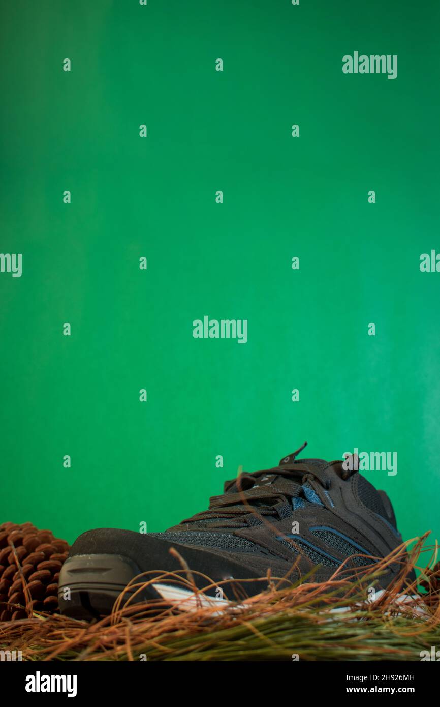 Graue und blaue Trekkingschuhe auf etwas Gras mit grünem Hintergrund Stockfoto