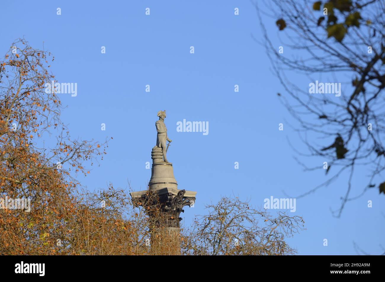 London, England, Großbritannien. Nelson's Column auf dem Trafalgar Square von der Mall aus gesehen, durch Herbstblätter, Dezember. Stockfoto
