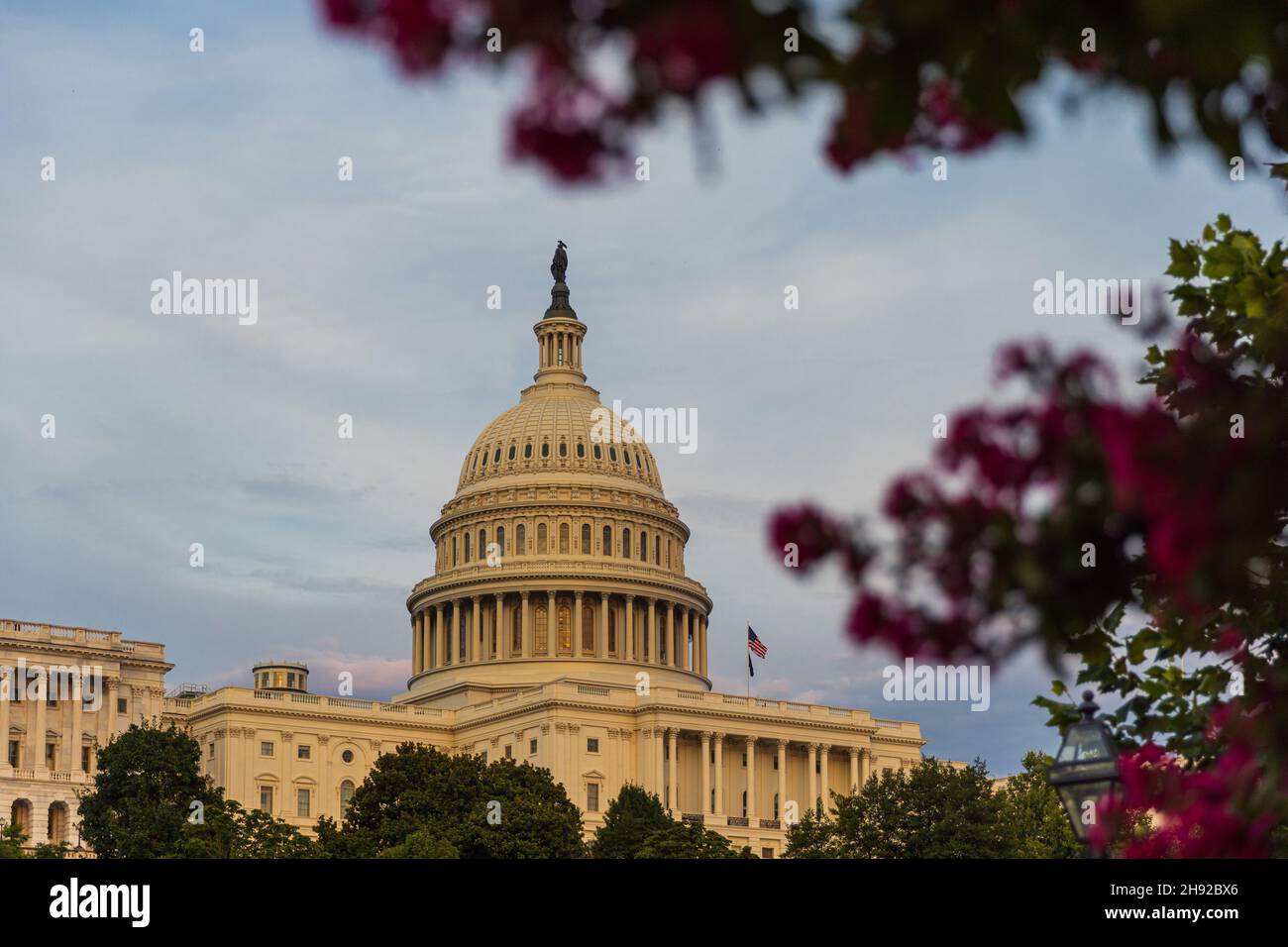 Das Capitol in Washington, DC. Stockfoto