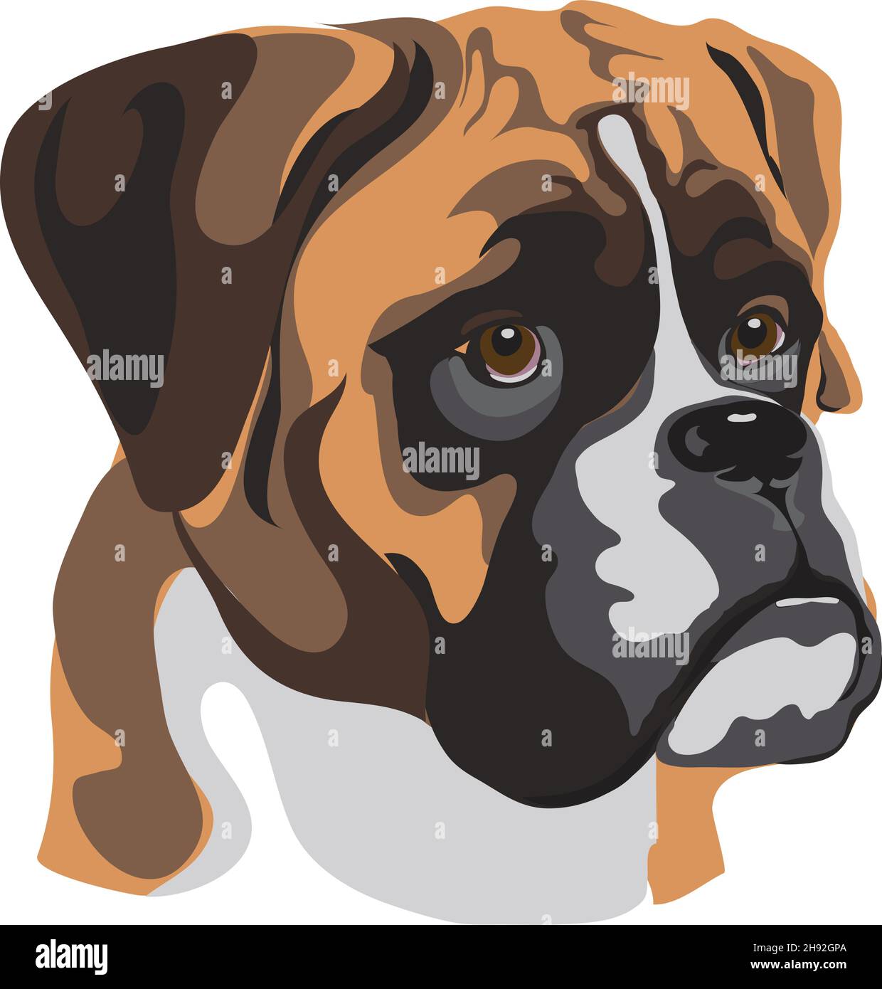 Hund, Boxer, Schnauze eines Hundes, Hunderasse, Vektorbild eines Hundehortraits, Hund, Porträt Stock Vektor
