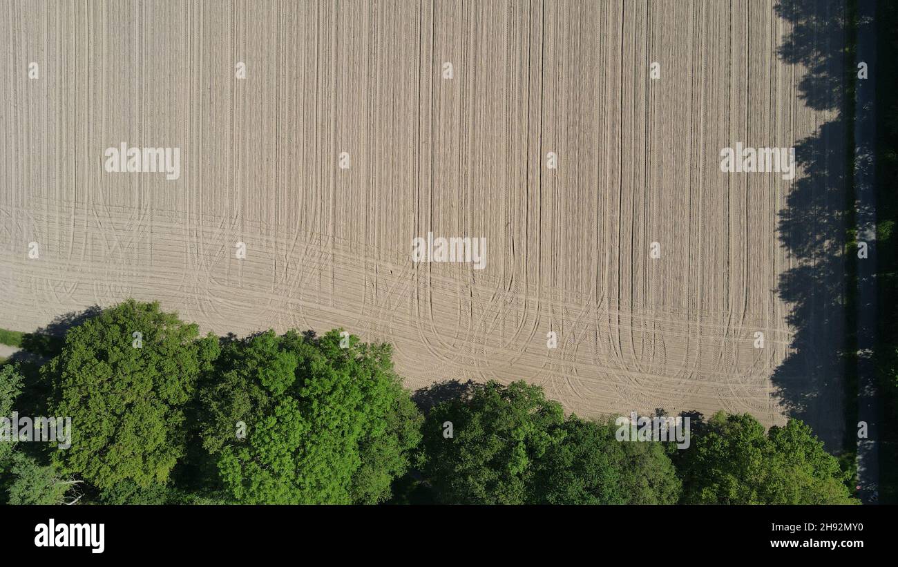 Geerntetes landwirtschaftliches Feld aus der Vogelperspektive - Drohnenschuss Stockfoto