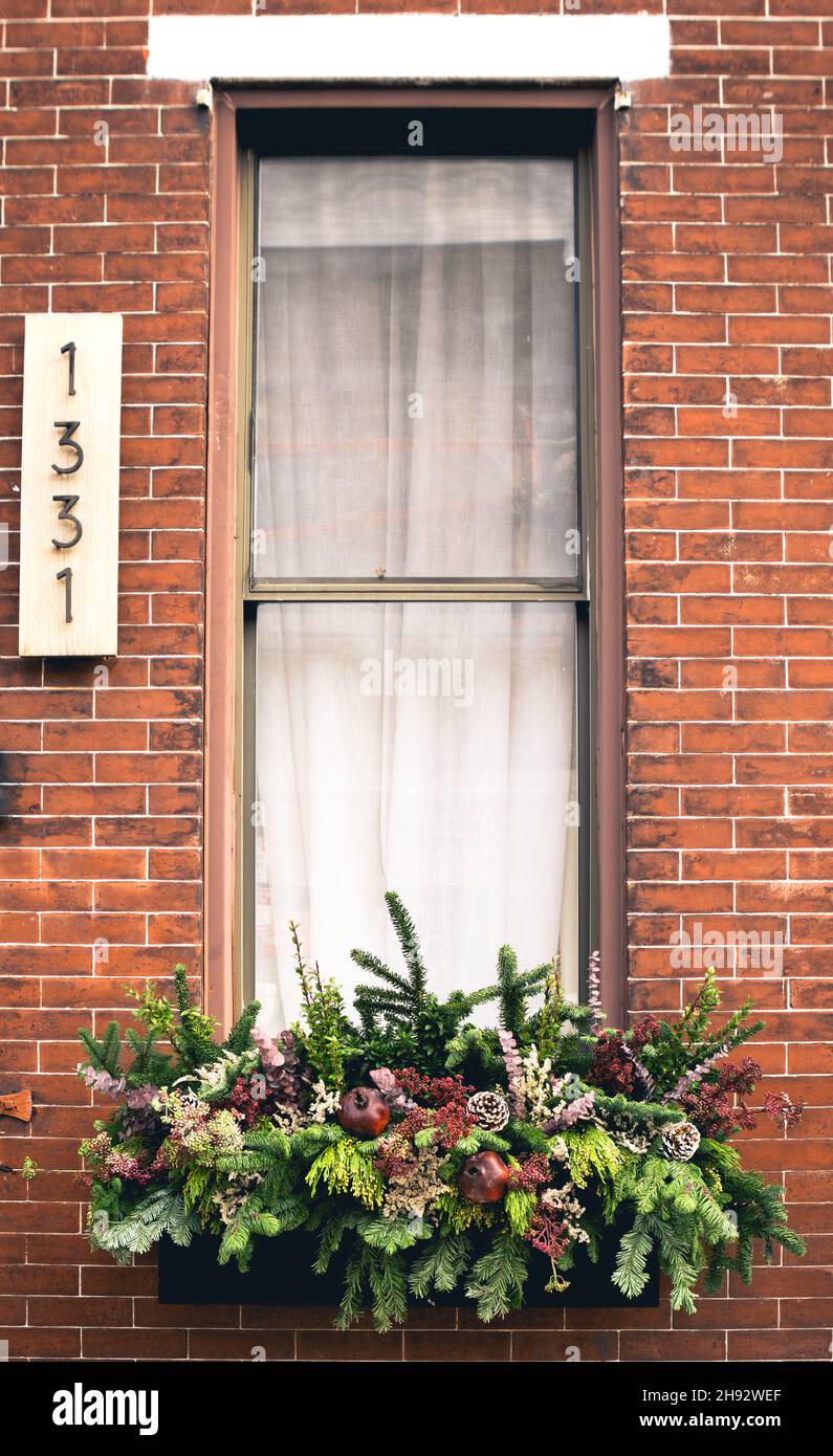 Fensterrahmen Anordnung gefüllt mit Winter saisonalen Blumen und Pflanzen volle Fenster Stockfoto