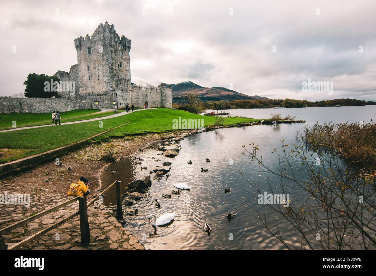 Aged Ross Castle umgeben von einem See und Hügeln in Irland Stockfoto