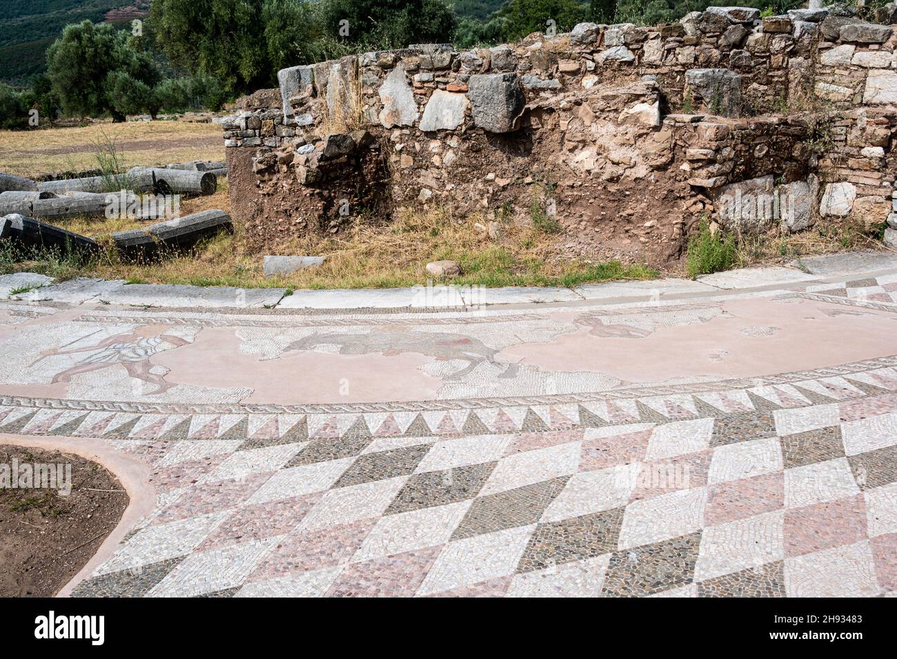 Mosaikboden an der antiken archäologischen Stätte von Messene Stockfoto