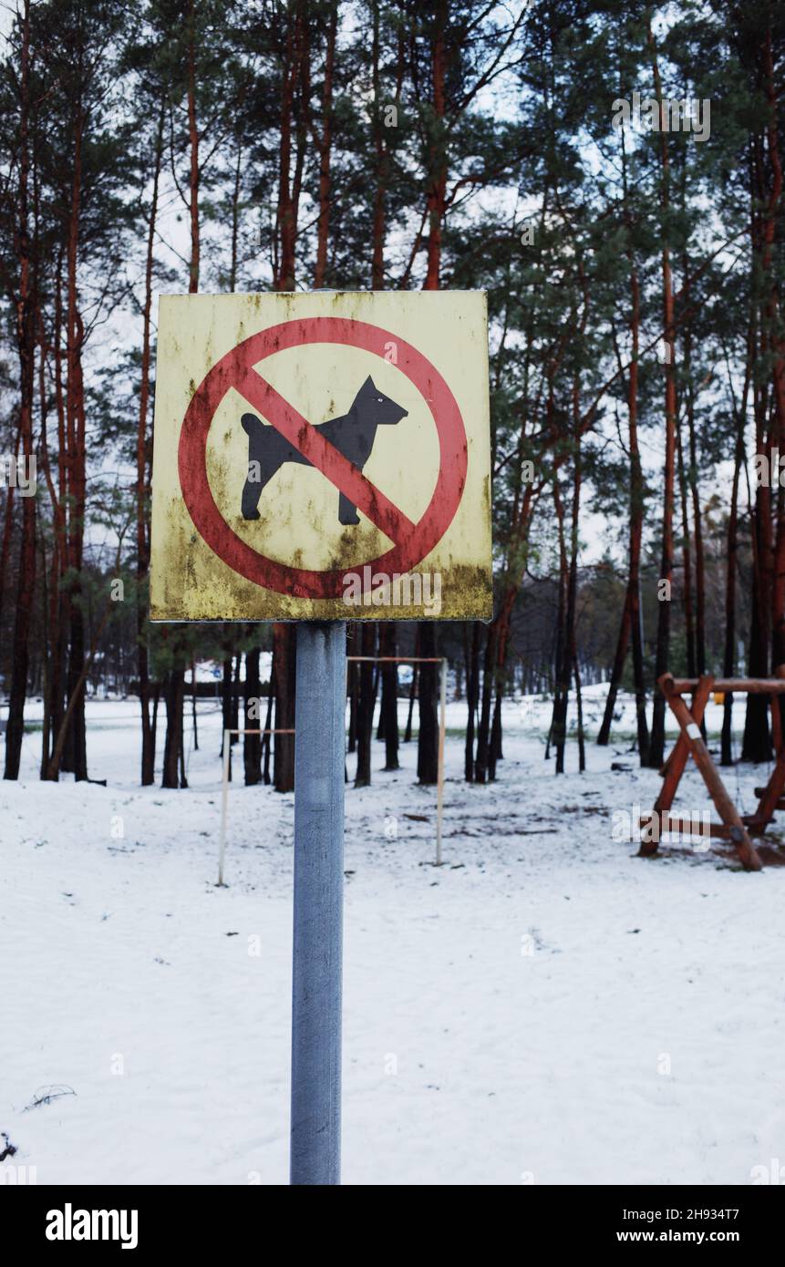 Schild: Kein Hund läuft. Winter. Schneebedecktes Wetter. Filmkörnung Foto. Stockfoto