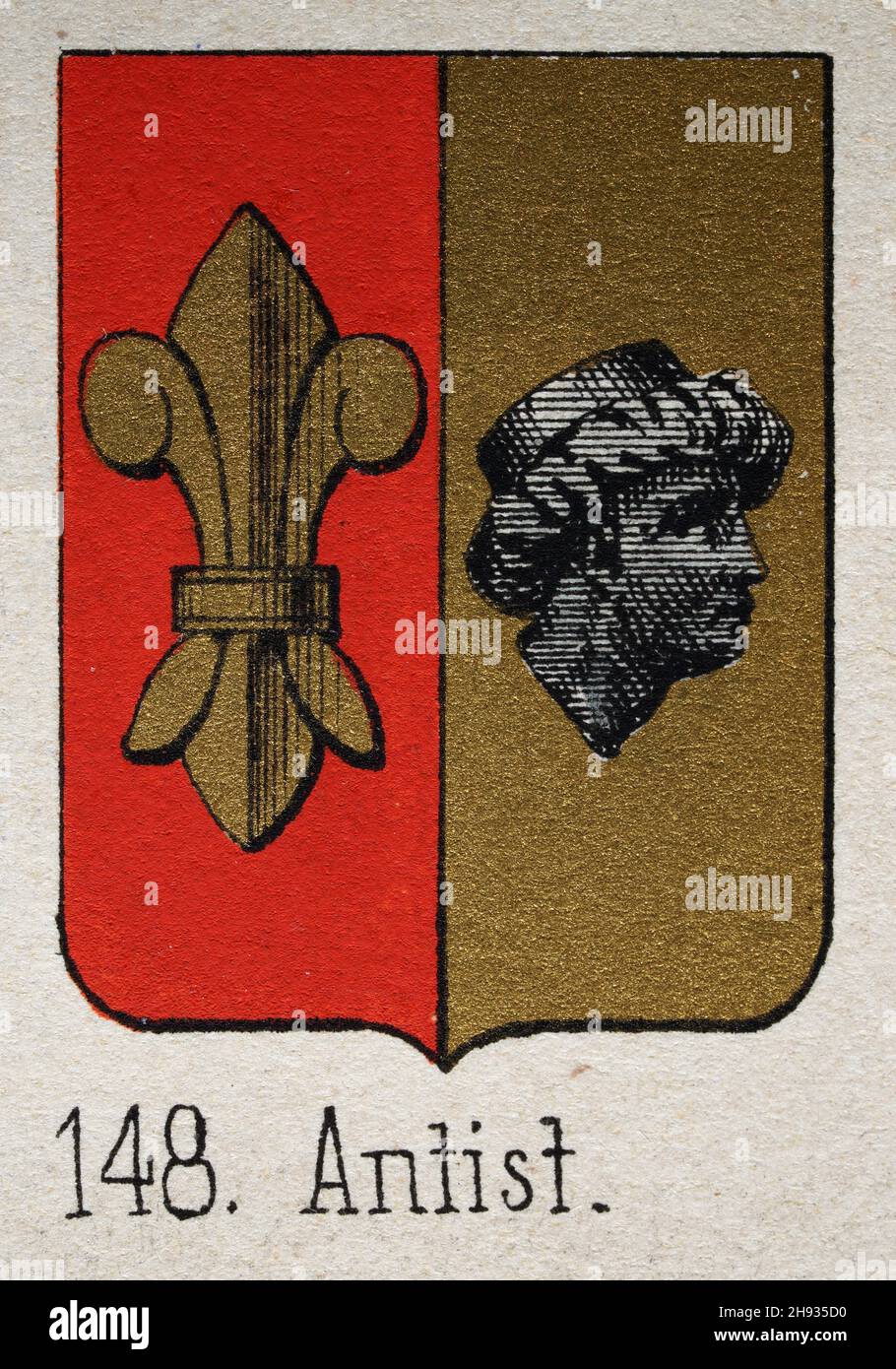 Antist Heraldik, Illustration eines Wappens, Split Schild, Fleur de Lis, Maurenkopf, Heraldric Symbole Stockfoto