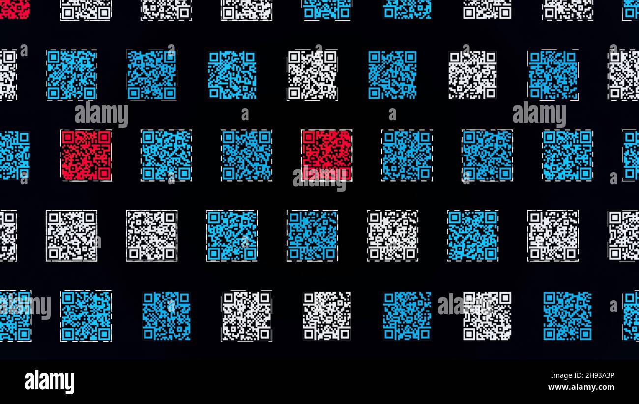 Bunte QR-Codes auf schwarzem Hintergrund. Animation. Codezeilen bewegen sich wie eine Schlange. Viele QR-Codes werden durch Zeilen verschoben. Matrix-Barcodes mit Informationen Stockfoto
