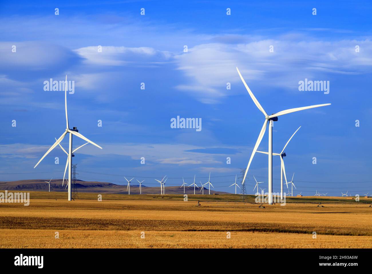 Windenergie oder Windenergie ist die Nutzung von Windenergieanlagen zur Stromerzeugung. Windenergie ist eine beliebte, nachhaltige, erneuerbare Energiequelle. Stockfoto