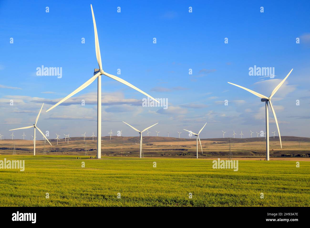 Windenergie oder Windenergie ist die Nutzung von Windenergieanlagen zur Stromerzeugung. Windenergie ist eine beliebte, nachhaltige, erneuerbare Energiequelle. Stockfoto