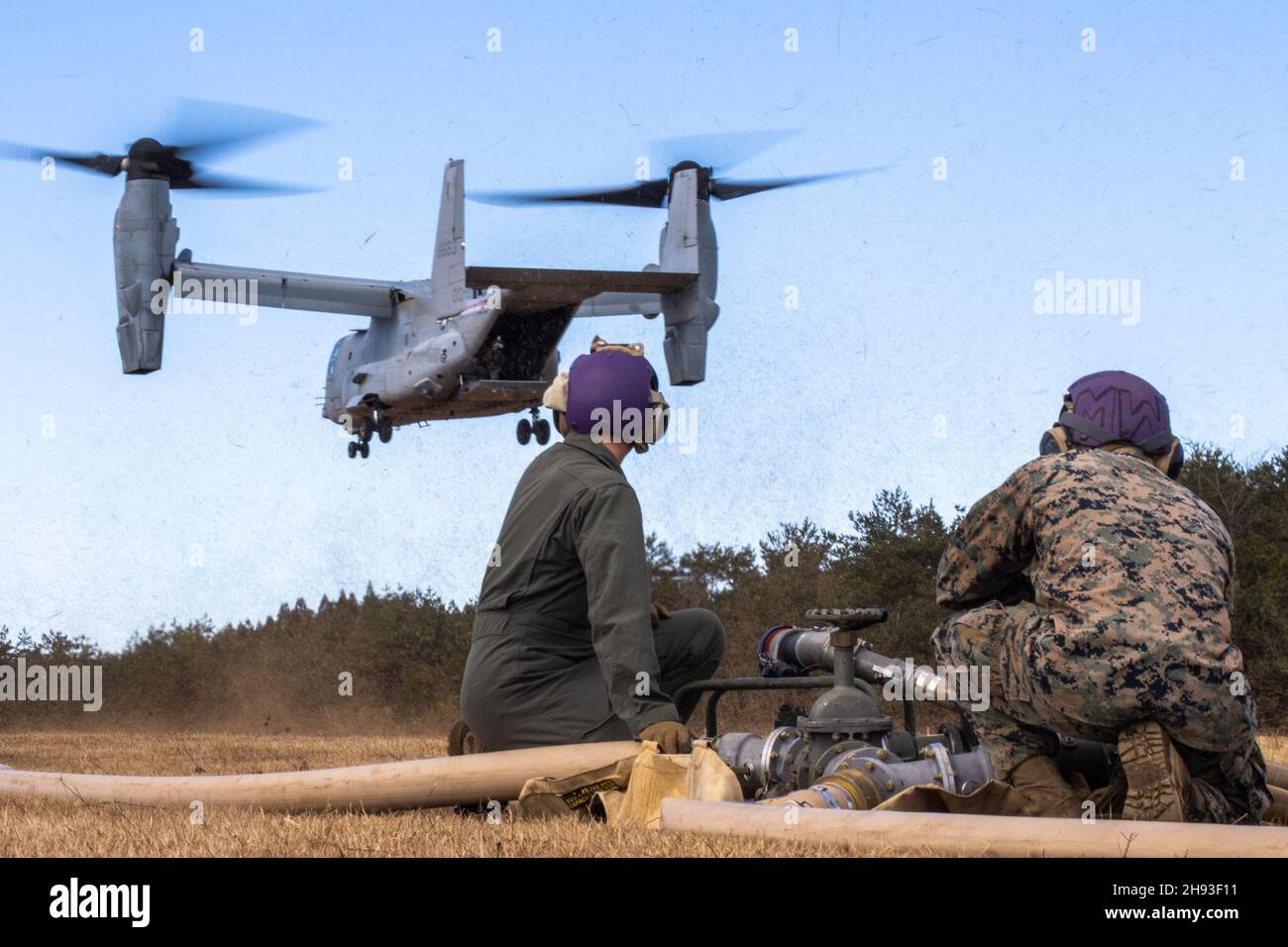 US-Marineinfanteristen mit Marine Wing Support Squadron 172 tanken einen MV-22B Fischadler an einem Vorwärts-Aufrüst- und Betankungspunkt in Vorbereitung auf die Übung Resolute Dragon 21 (RD21), 3. Dezember 2021 auf dem Ojojihara Proving Grounds, Japan. RD21 ist die größte bilaterale Feldtrainingsübung zwischen dem U.S. Marine Corps und der Japan Self-Defense Force (JSDF) im Jahr 2021. RD21 soll die Verteidigungsfähigkeit der US-Japan-Allianz stärken, indem es integrierte Kommando- und Kontrollfunktionen, Zielführung, kombinierte Waffen und Manöver über mehrere Bereiche hinweg ausübt. (USA Marine Corps Foto von Sgt. Kirstin Spanu) Stockfoto