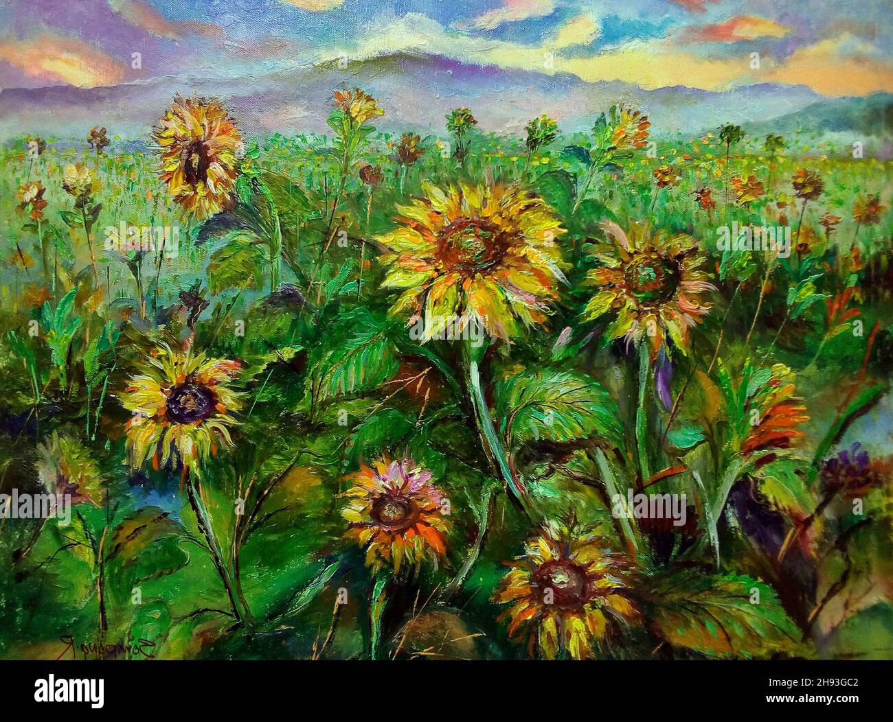 Sonnenblumen Ölgemälde in meinem Garten zu Hause Stockfoto