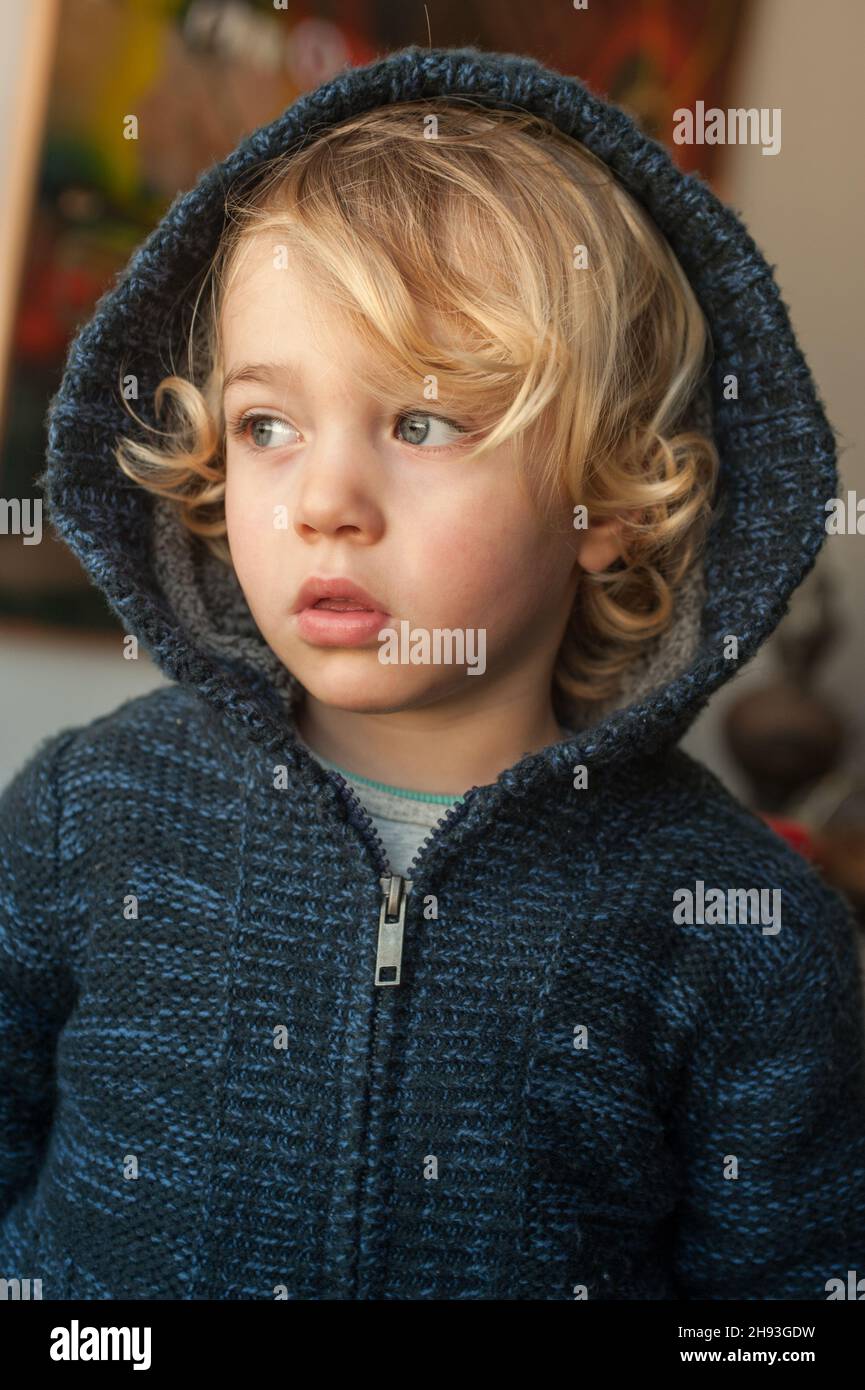 Ein kleiner Junge (ca. 2 1/2 Jahre alt) trägt einen blauen Hoodie. Stockfoto
