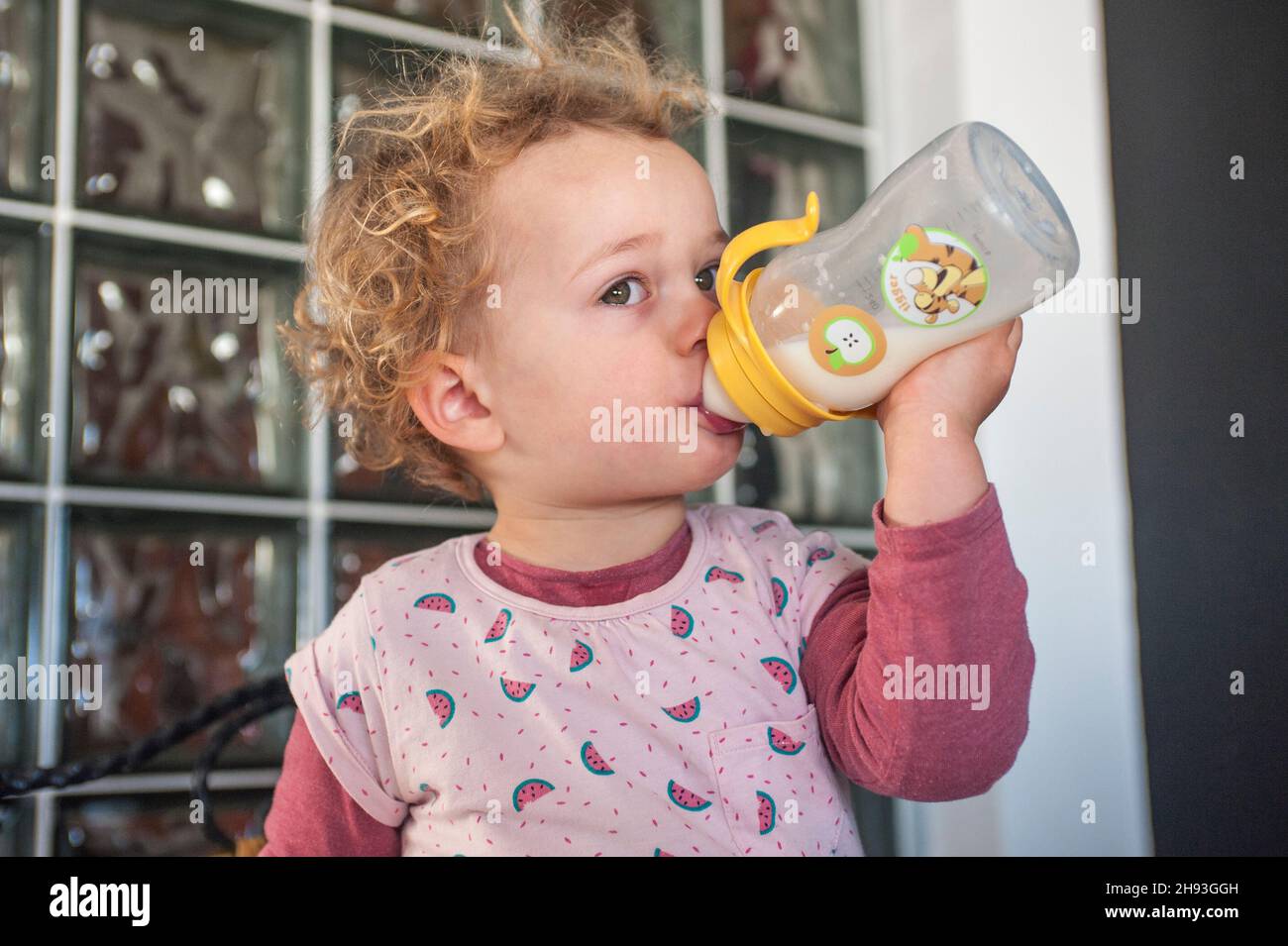 Ein 2-jähriges Mädchen trinkt eine Babyflasche Milch. Stockfoto