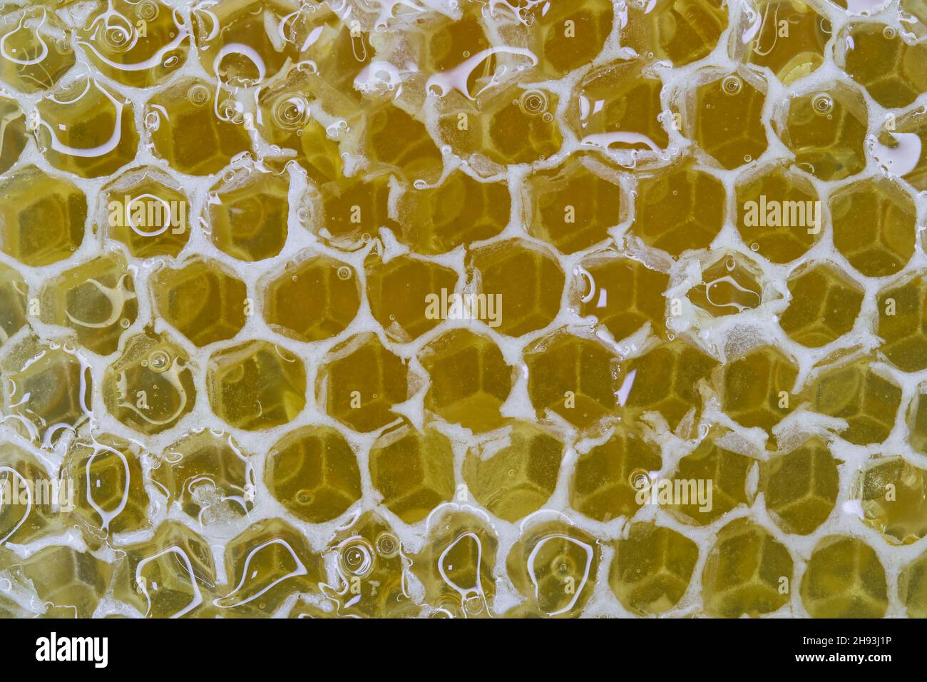 Goldener Bernstein, honiggefüllter Wabenrahmen Stockfoto