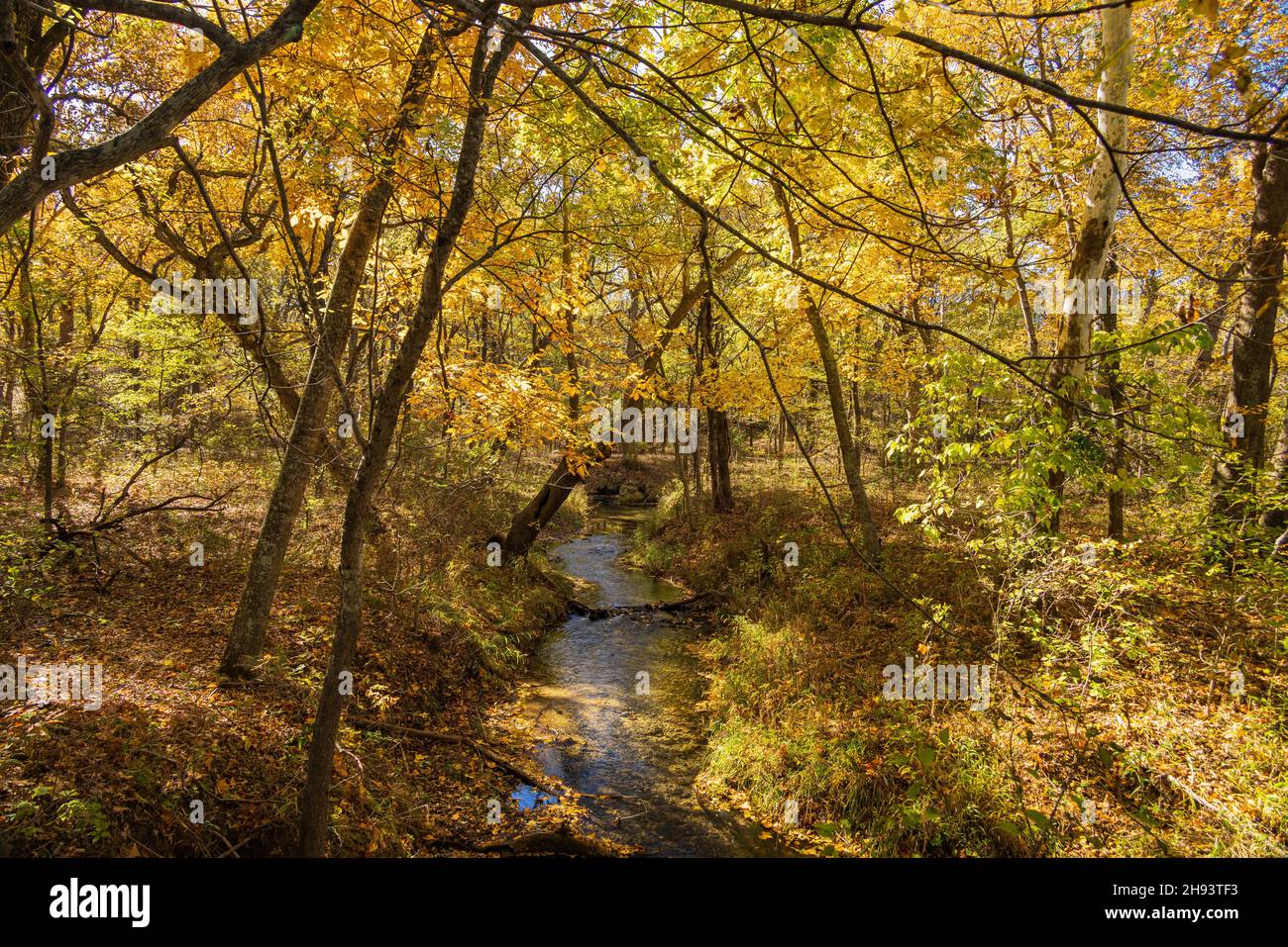 Herbstfarbe des Naturlehrpfades im Chickasaw National Recreation Area in Oklahoma Stockfoto