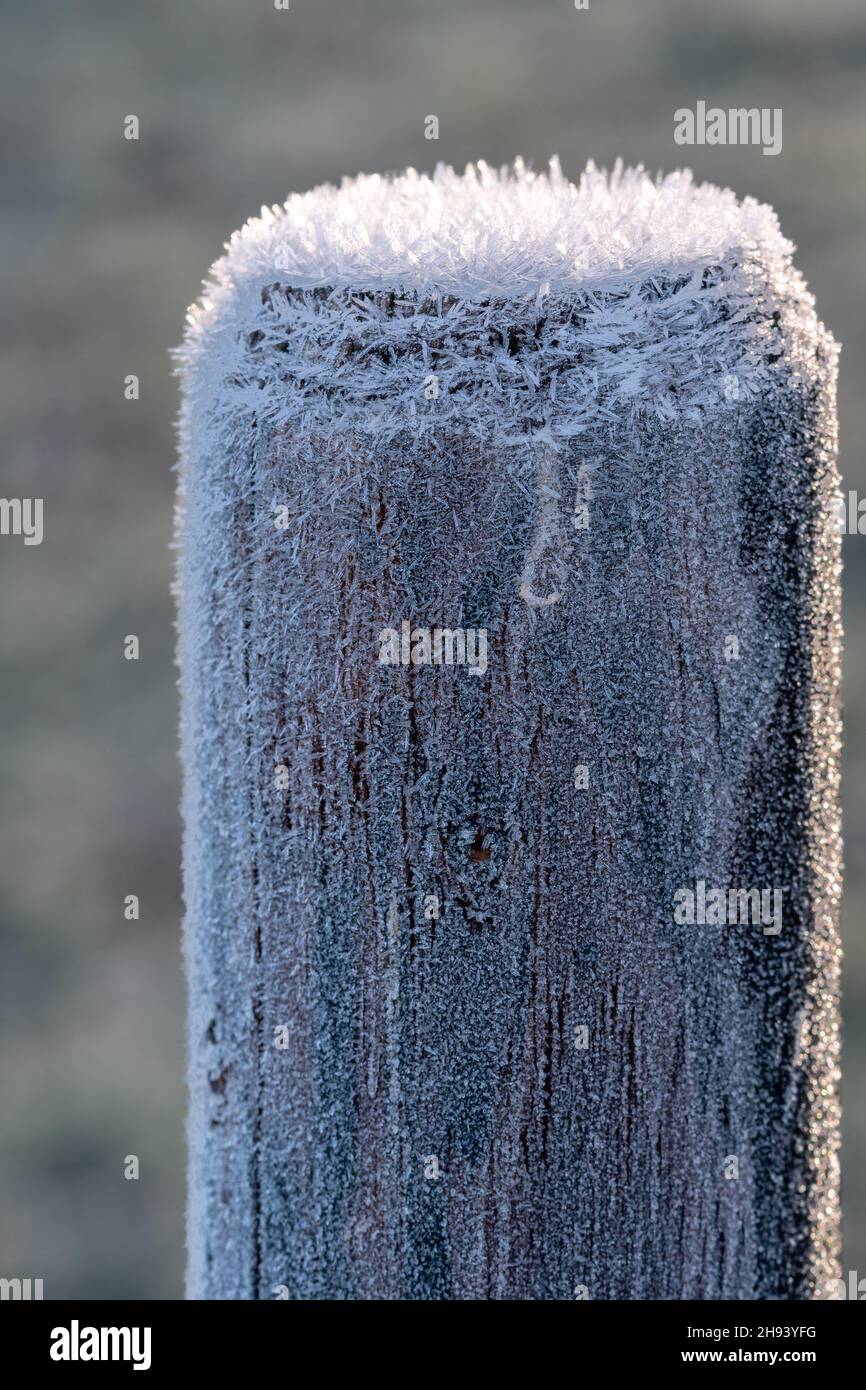 Holzzaunstange mit Eiskristallen bedeckt, von der Morgensonne im Hintergrund beleuchtet. Konzepte von frostiger Wintersaison, kalter Temperatur, Reif. Makroaufnahme. Stockfoto
