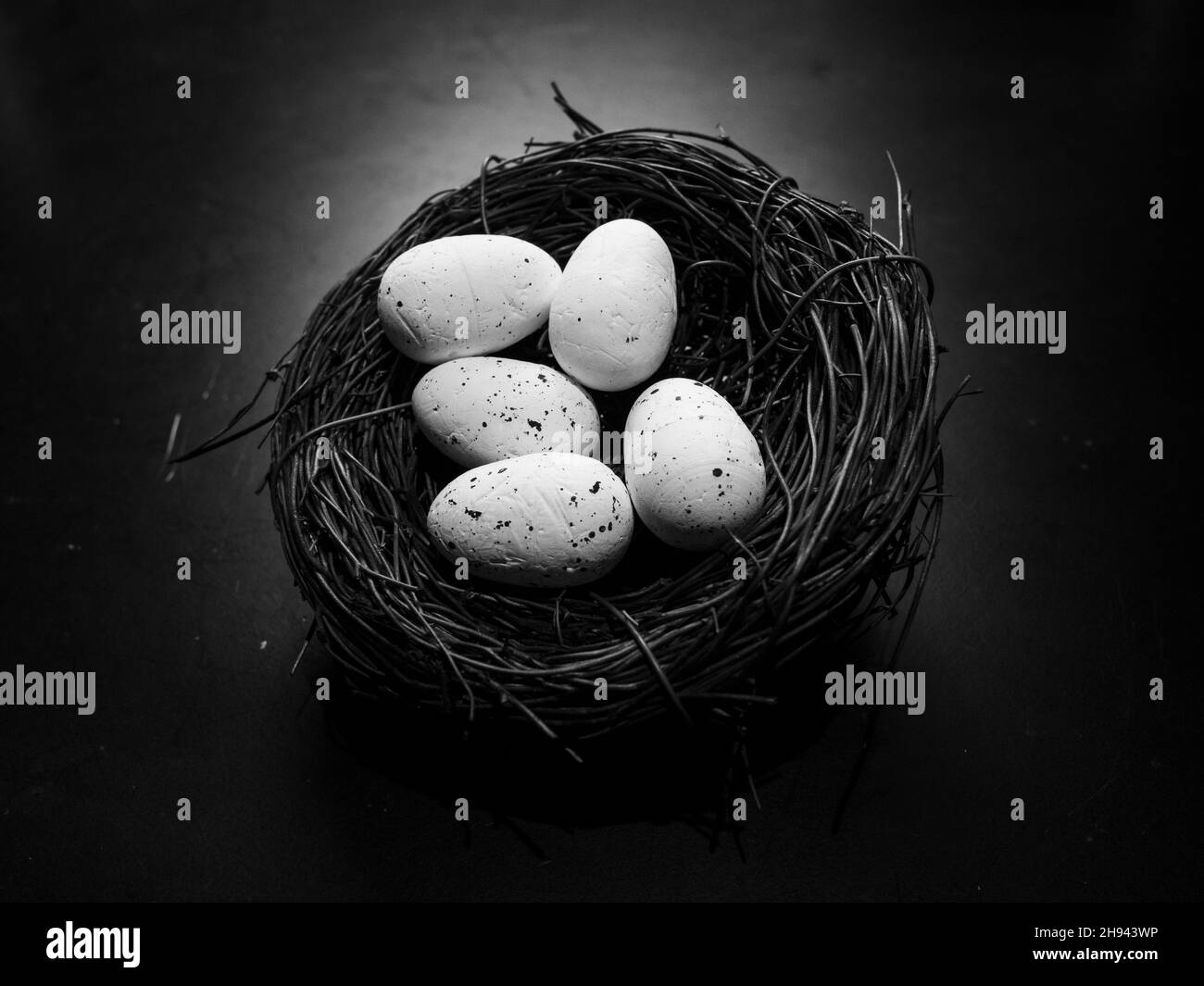 Nahaufnahme des Vogelnests mit zwei Eiern Stockfoto