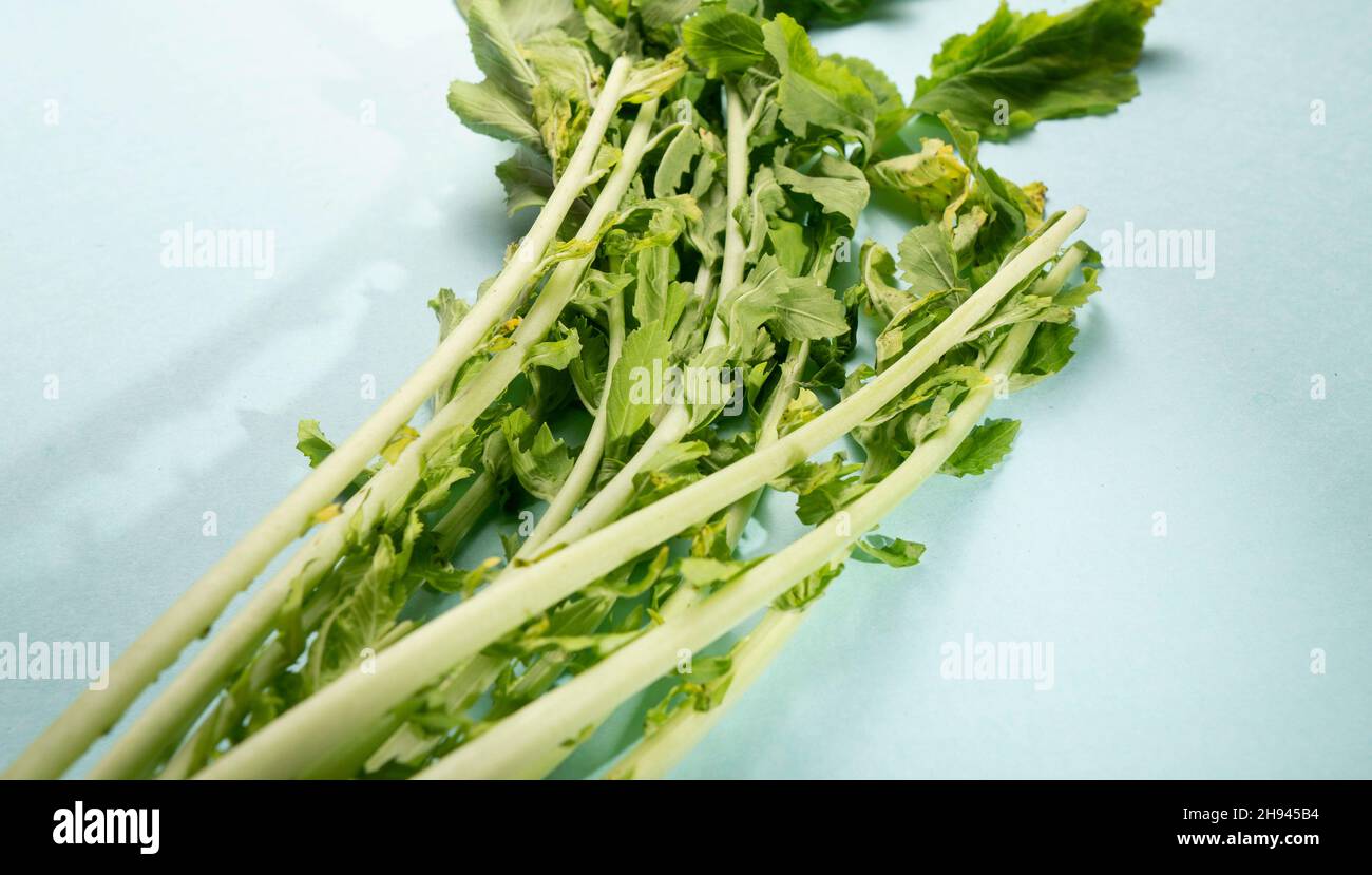 Schließt weiße Rettich Gemüse Lebensmittel Stockfoto