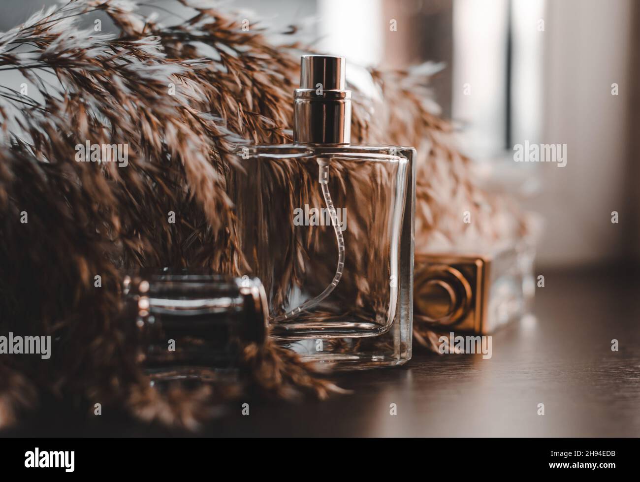 Männliches und weibliches Parfüm auf einem dunklen Holzhintergrund mit einem Schilfzweig Stockfoto