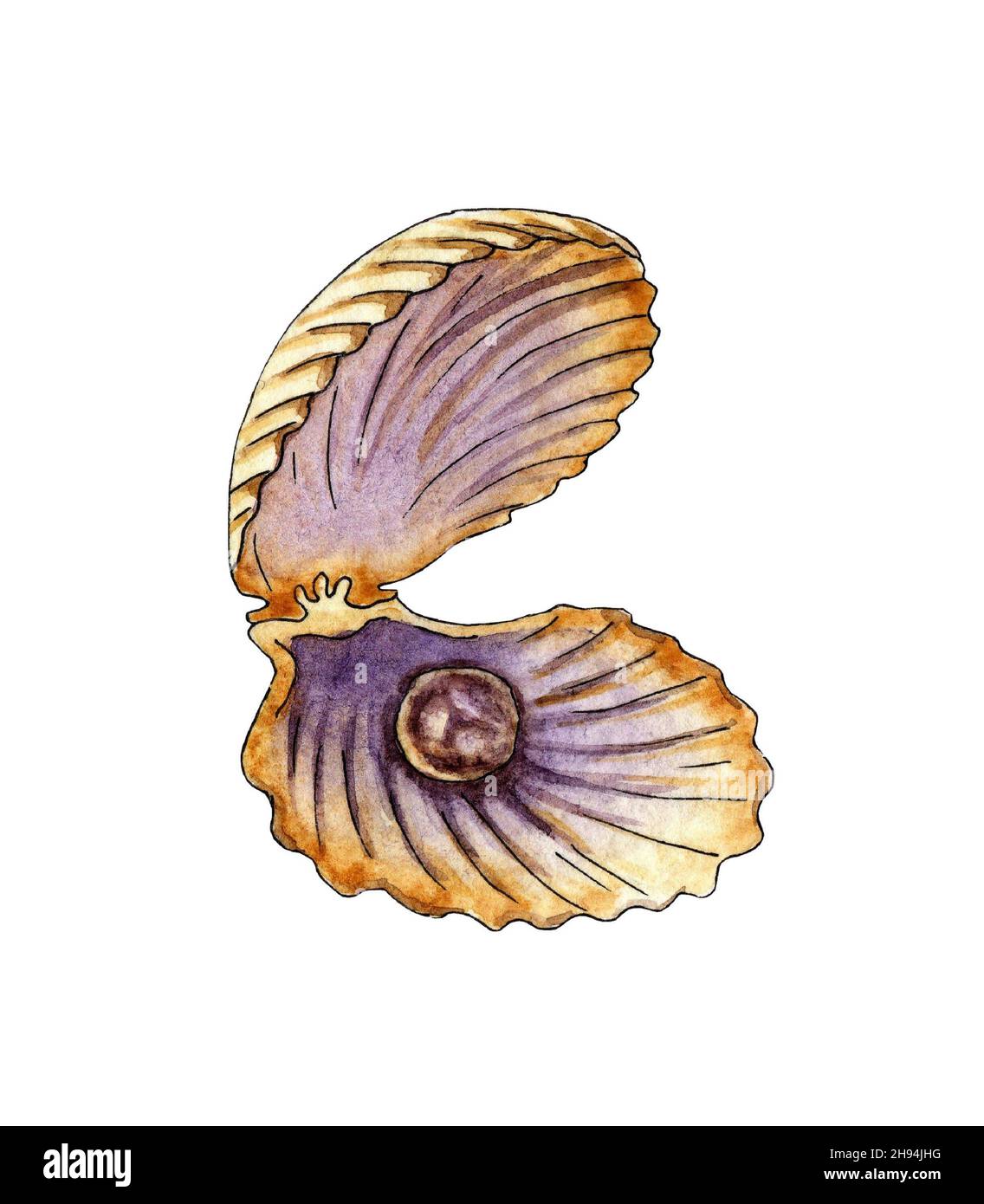 Aquarell-Illustration einer offenen Muschel mit einer Perle. Eine Muschelmuschel mit einem Juwel im Inneren. Perlenverzierung. Isoliert auf weißem Hintergrund. Stockfoto