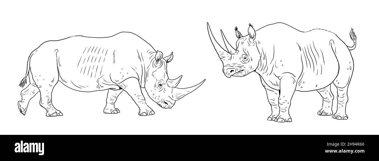 Zeichnung von Nashörnern mit schwarzem und breitem Mund. Digitale Vorlage zum Färben mit afrikanischem Nashorn. Stockfoto
