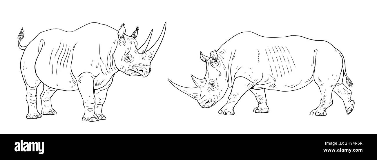 Zeichnung von Nashörnern mit schwarzem und breitem Mund. Digitale Vorlage zum Färben mit afrikanischem Nashorn. Stockfoto