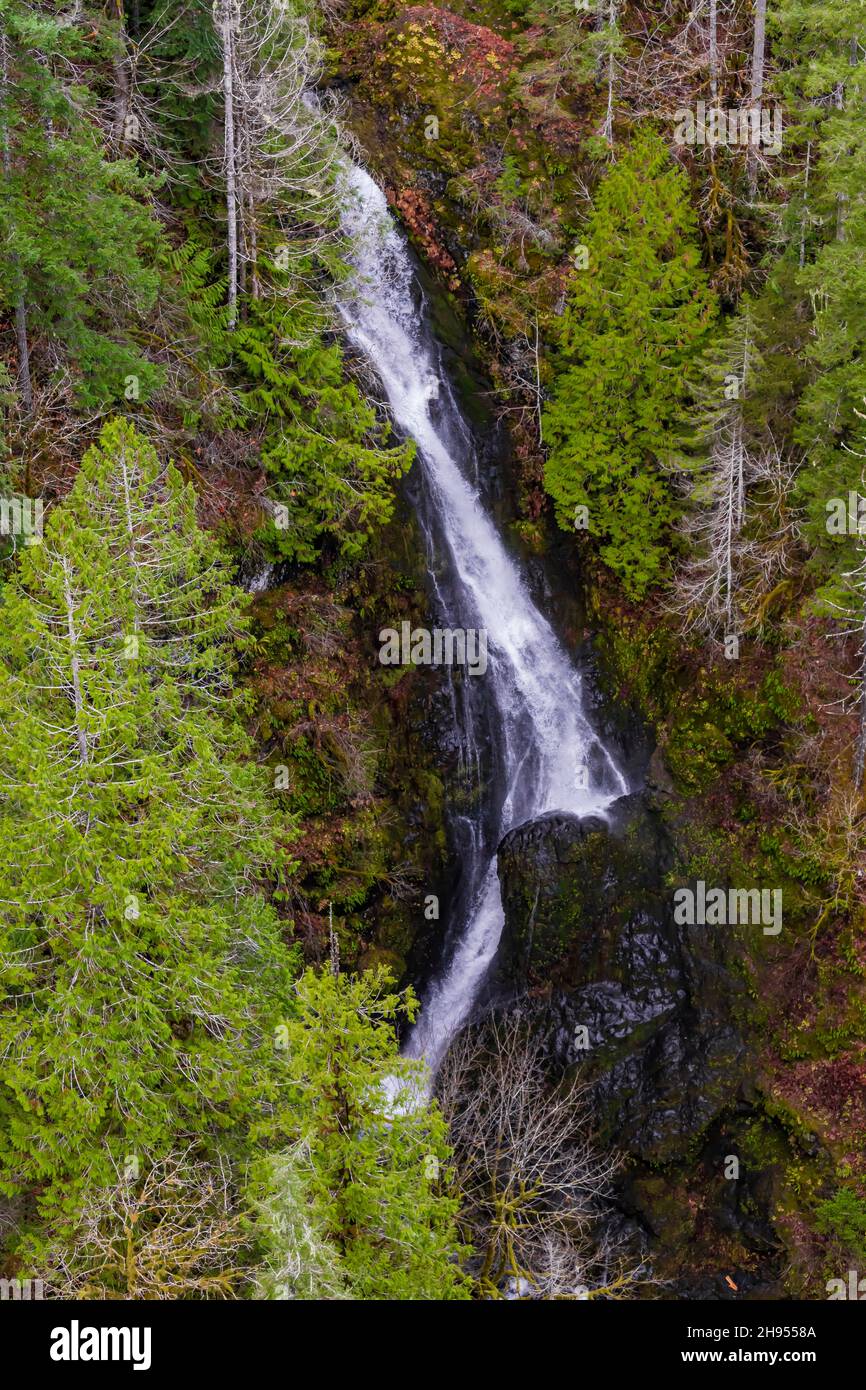 Blick von der High Steel Bridge über den South Fork Skokomish River auf den Olympic National Forest, Olympic Peninsula, Washington State, USA Stockfoto