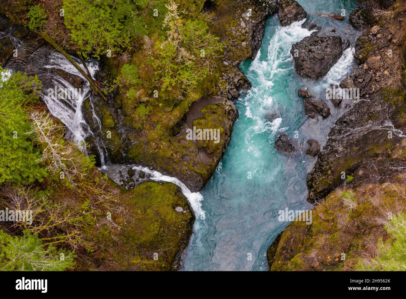 Blick von der High Steel Bridge über den South Fork Skokomish River auf den Olympic National Forest, Olympic Peninsula, Washington State, USA Stockfoto