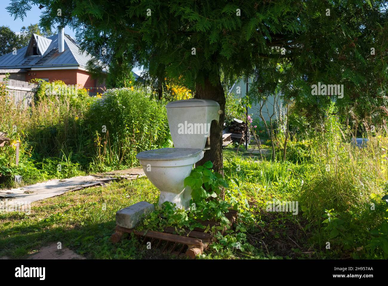 Toilettenschüssel und Zisterne unter einem Baum an einem Sommer Tag Natur Stockfoto